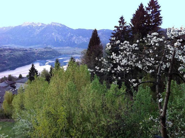 B&B Alba Sul Lago Pergine Valsugana Buitenkant foto