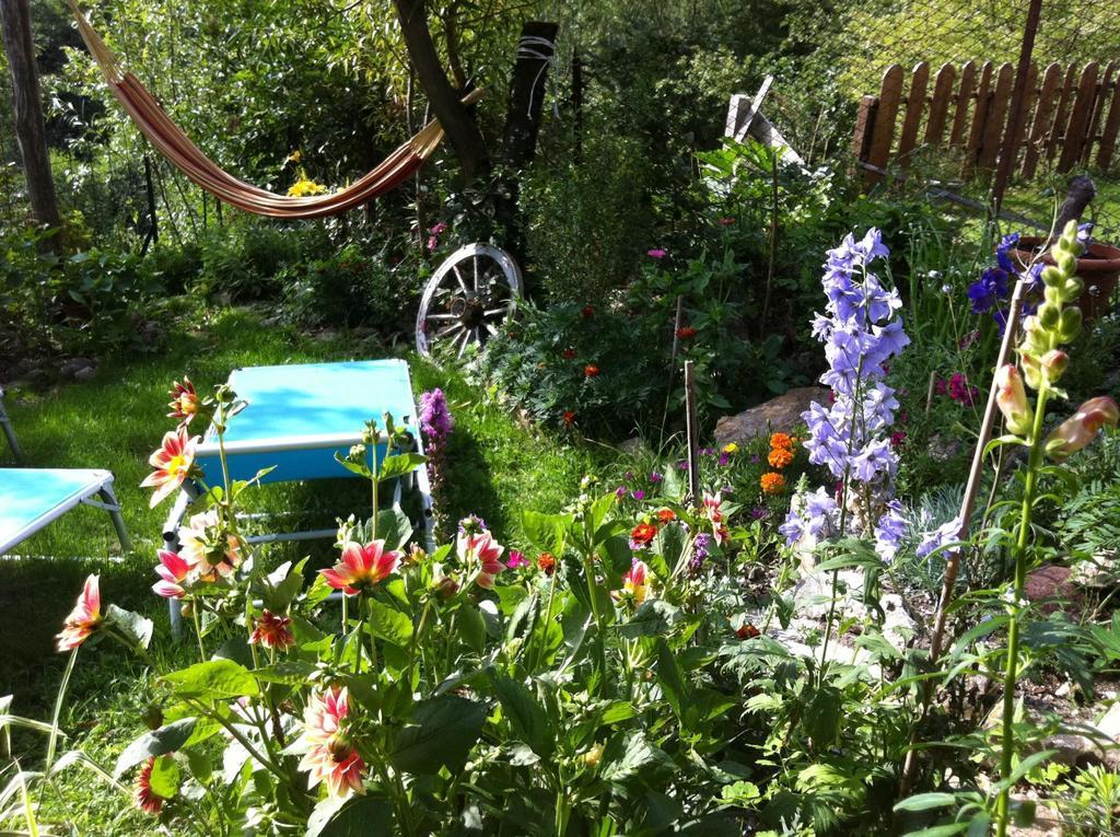 B&B Alba Sul Lago Pergine Valsugana Buitenkant foto