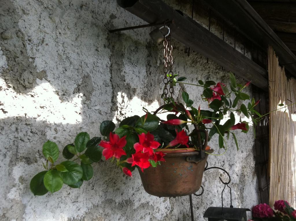 B&B Alba Sul Lago Pergine Valsugana Buitenkant foto